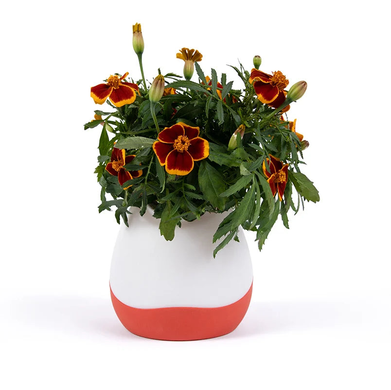 - Planta Artificial Decorativa Premium