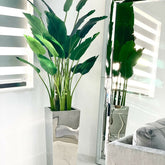 Coleção Verdeévoa - Planta Artificial Decorativa Premium