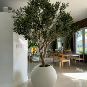  - Planta Artificial Decorativa Premium