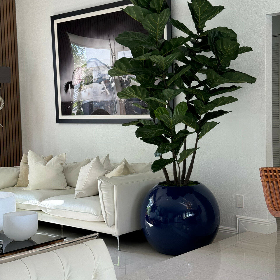 Árvore Ficus Boreal Edição Especial 76 - Planta Artificial Decorativa Premium