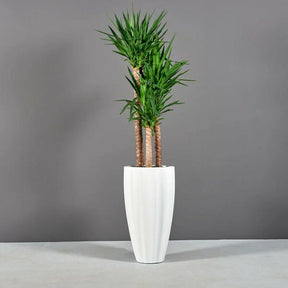  - Planta Artificial Decorativa Premium