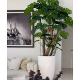 Árvore Aurora Verde - Planta Artificial Decorativa Premium
