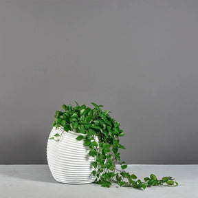  - Planta Artificial Decorativa Premium