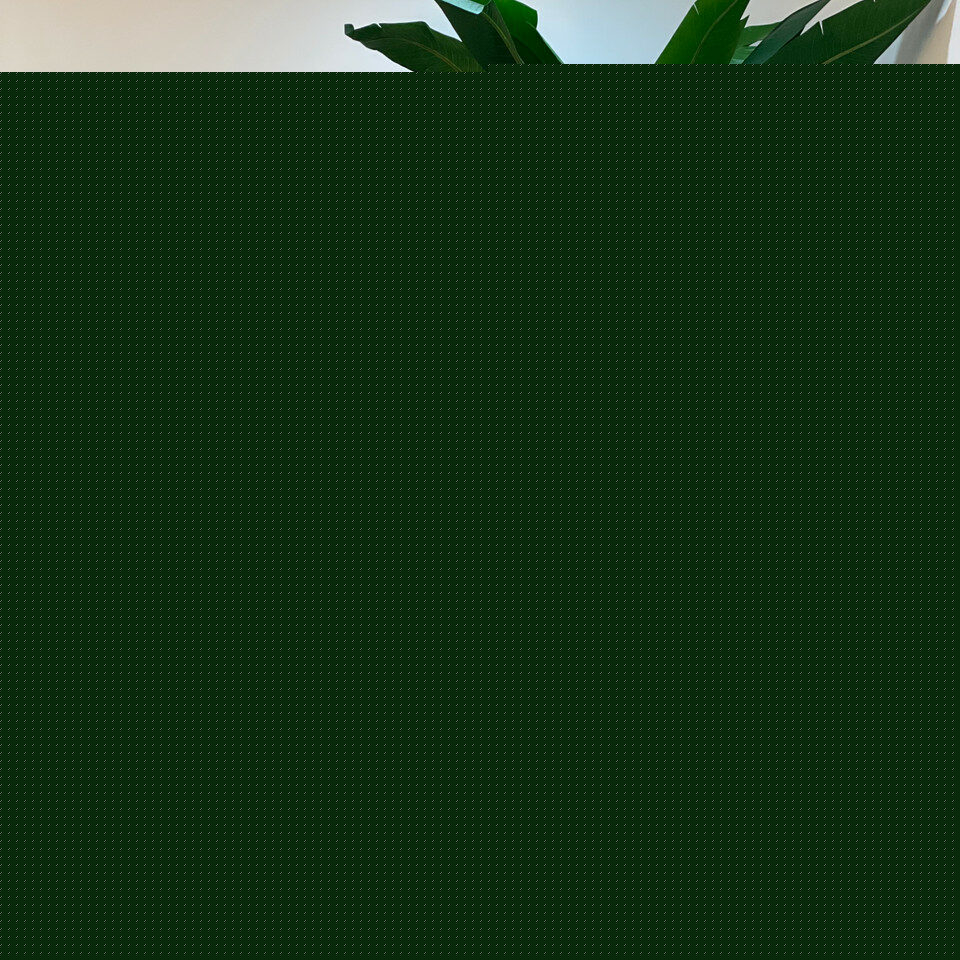 Coleção Botanique Luxe - Planta Artificial Decorativa Premium