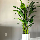 Suculenta Verde Aurora - Planta Artificial Decorativa Premium