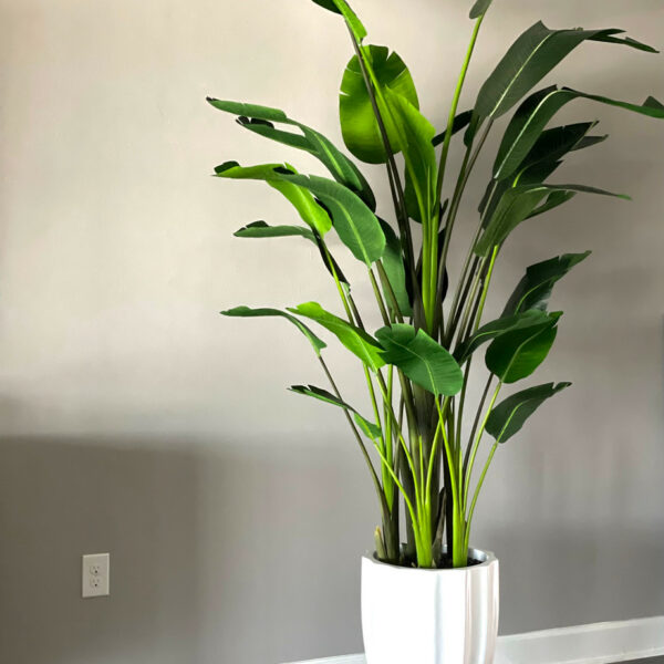 Suculenta Verde Aurora - Planta Artificial Decorativa Premium