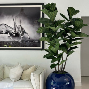  - Planta Artificial Decorativa Premium