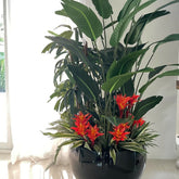 Vaso Boreal Marmorizado - Planta Artificial Decorativa Premium