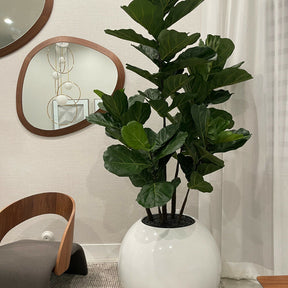  - Planta Artificial Decorativa Premium