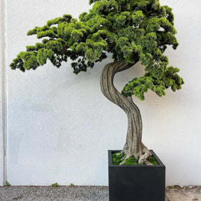 Árvore Cerejeira Japonesa - Planta Artificial Decorativa Premium