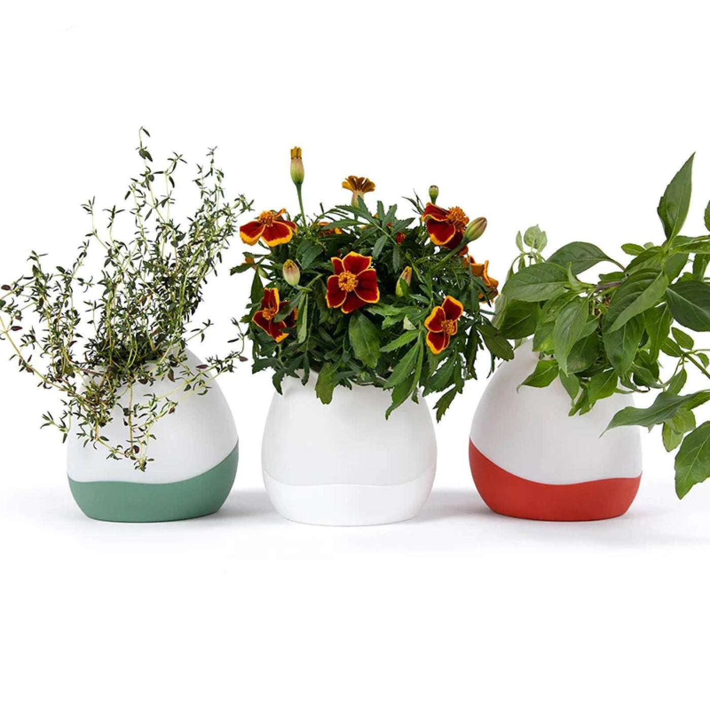 Árvore Magnólia Realista - Planta Artificial Decorativa Premium